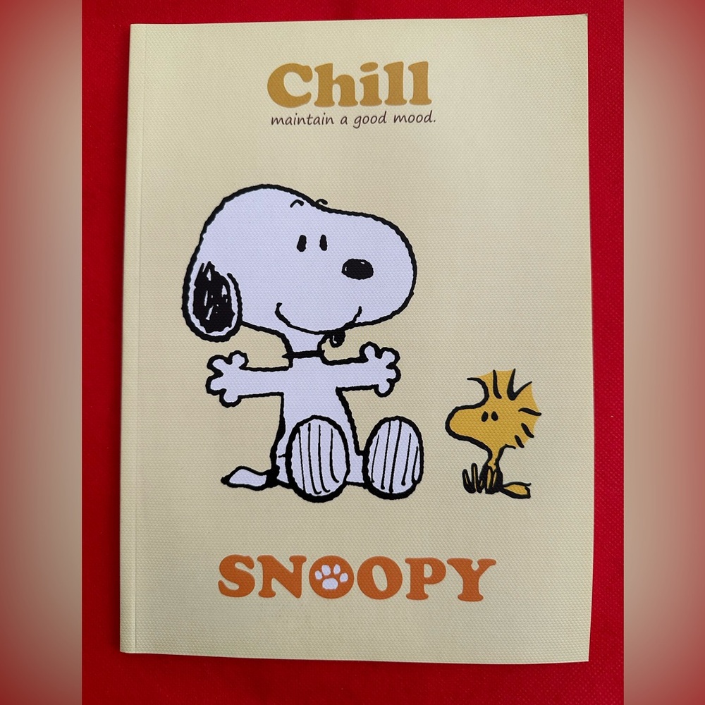 3/$20 Snoopy “Chill” Notebook